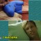 5d7e7c738ca11d0cdc8abffe5fd56885-2_kino_3.jpg