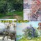 2a80f9b301ab7a786ff20704cf718a73-3_kart_1.jpg