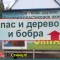 4b4ccf2e201e8098d8d2bc6586d2abcc-3_kart_5a.jpg