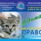 337-p190j62be01d8avbf10k915v1no78.jpg