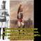 c46-p1925j237i4gr10qu1nd9i0ajsn4.jpg