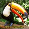 099-p1939jrhbojg8jgho9i3oncug7.jpg