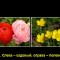 92f-p1977v3tha1sqa4u1hnmqgpdi2d.jpg