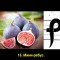 f8f-p198u04cq71vrds23pcr1707sqs8.jpg
