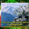 589-p19a9no7j5r25o6d19mt17tpifv5.jpg