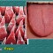 24b-p19bes1v4m1k8q1tm8urm1hk5feg8.jpg