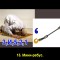 c7f-p19cabcp6p14ft1sqmvdajl4qpdb.jpg