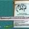 7fd-p19e8sfm6gdtt1hup12o0dr91aqra.jpg