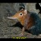 8e5-p19g7cckb1cpvpkm9kdemf1qcc6.jpg