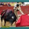 679-p19gisgv0814dgfrc1s3s1597iap8.jpg