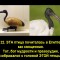 682-p19k3sujr9l9285j5il9fj1hkfd.jpg
