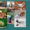 e1e-p19ke67fau52eccpaqk18ts591j.jpg