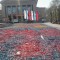 968-p19l38o92m12si1khvol87stph5.jpg