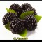 d2b-p19lb94g1munocrns1nloq065.jpg