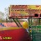 d2b-p19lb950lhvgv1jsk4lo151b1e0dm.jpg