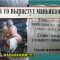 c4f-p19m5nv0ulcl51jb4f9qf2k08p.jpg