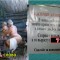 c4f-p19m5nv0ulda11th82i4h7h1231o.jpg