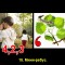 3e9-p19n0q98en1e1i55218lm1uiel5la.jpg
