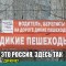 e5e-p19n8ogjfi1jhg2uj1vr361o1viin.jpg