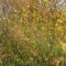 381-p19njtu1mt1umk18abe1k9btuuv4.jpg