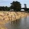 7a0-p19nu0vnlt7lo127mr4k12tkn9n6.jpg
