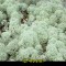 047-p19qcnt9a017kr1i27191415kh11bl7.jpg