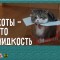 d3b-p19qkduho41v5rdco8q5mmi1giup.jpg