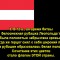 365-p19qv3ciglu241if91nt116p81m5m5.jpg