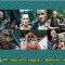 365-p19qv3d1jcabs1ohlktiticpkg.jpg