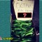 365-p19qv3d1jdbn5fbso1ffos1o3tn.jpg