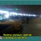 d04-p19r6mqkkec3g1bdm1evk1s8fa4lj.jpg