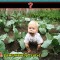 727-p19rgu7ts11itm12fv110a1p5g1jj0h.jpg