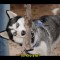 f80-p19s2uh0sb1l6u19o8c001jfkh0c4.jpg
