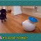 783-p19sb4uhnf19gejq31l761eof1urho.jpg