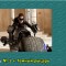 69c-p19stvtrlh1gprqrv8271b431upa7.jpg