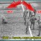 69c-p19stvtrlhigkk411see15omu38b.jpg