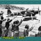 25c-p1a1unm1qp10341dtvkb310s41ts9a.jpg