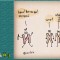 25c-p1a1unm1qq14gh1pk21jp7b8mn6n.jpg