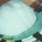 25c-p1a1unm1qq1bis7s81r373as9kig.jpg