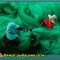 542-p1a2gpo812rqhepg1b9ve818sp9.jpg