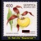 316-p1a3d88lkr1k2pold1rd7aalgf89.jpg