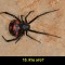 c65-p1a56kpdjj17e6751vkls2knna5.jpg