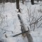 7f3-p1a6a50uad1vvefr71ikd2to2m5e.jpg