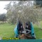 b9b-p1a74qo5ff1t9r3661p4bvtb1n2pd.jpg