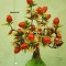 0fe-p1a76r9qvl1l2r8pu1oq7kf91hu86.jpg