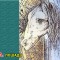 075-p1a99alh1d1akhfbn8gf1jaqa3of.jpg