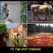 581-p1ab9f15g7muasi5dqklvhu9f6.jpg