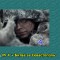 5b3-p1abh69rgu1bkvcgjc511ct14007.jpg