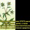 f80-p1abot8hmh16suppunla8oj1gbb4.jpg