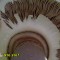 225-p1aeljudgu2tc1p120k4oq11hih.jpg